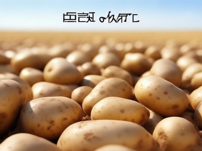 土豆0